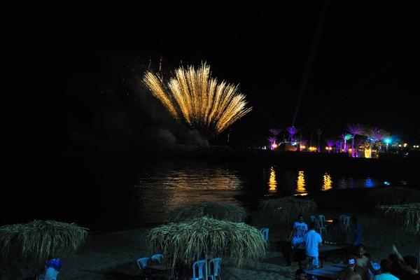 Zoo Beach Party 